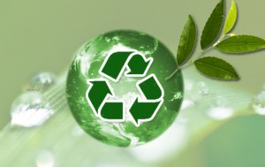 Fiscalidad medioambiental