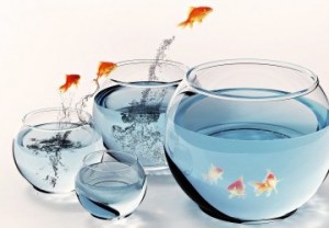 actitud como reflejo del liderazgo
