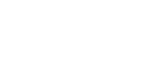 Welcome to the jungle