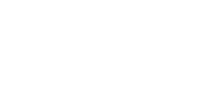 Notícies en Xarxa