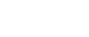 El Nou